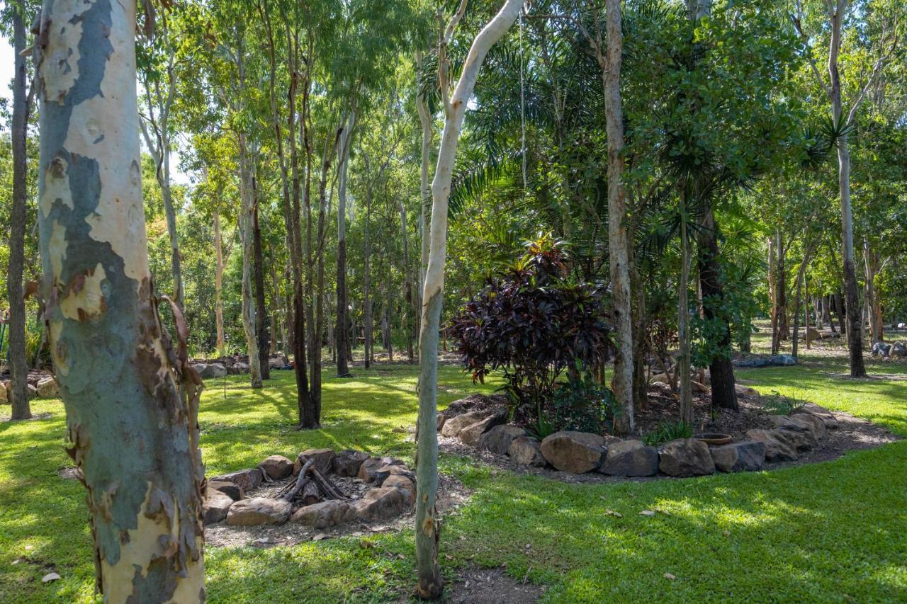 Airlie Beach Eco Cabins - Adults Only Exteriér fotografie