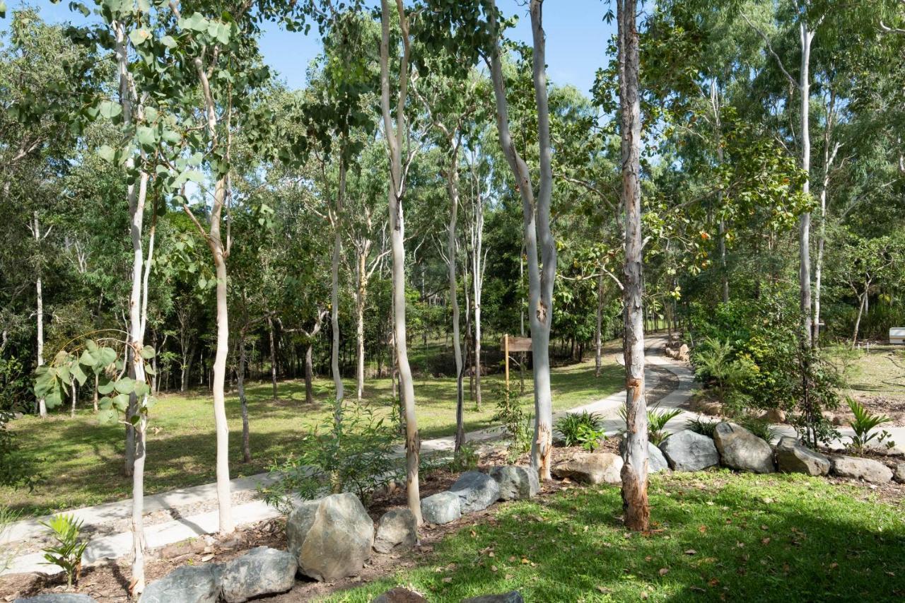 Airlie Beach Eco Cabins - Adults Only Exteriér fotografie